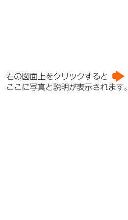 �E�̐}�ʏ���N���b�N����ƁA�����Ɏʐ^�Ɛ������\������܂��B