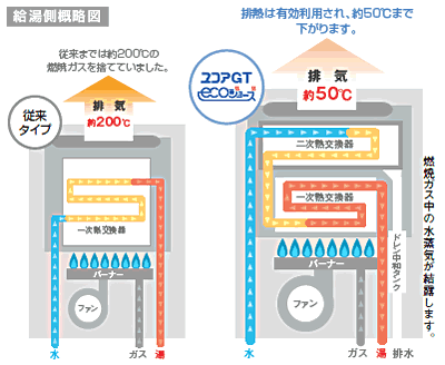 �������K�X�ӂ닋����@���R�A�f�s�@ECO�W���[�Y